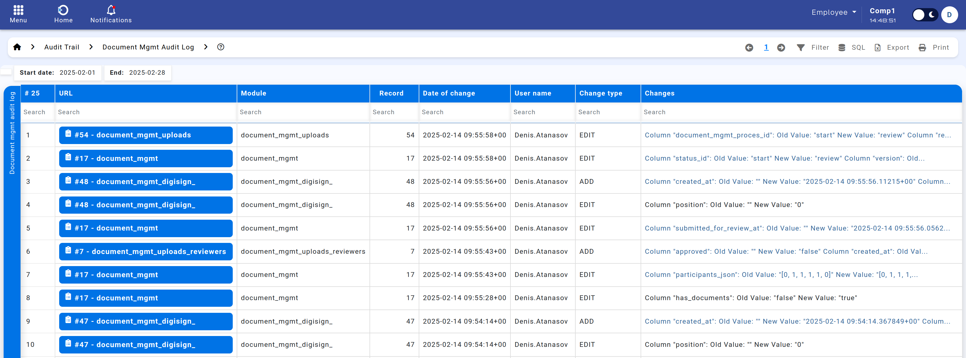 Document Mgmt Audit Log