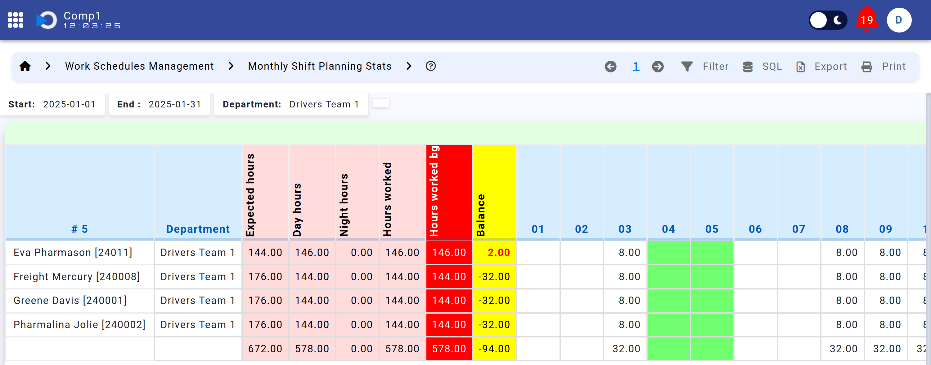 Monthly Shift Planning Statistics